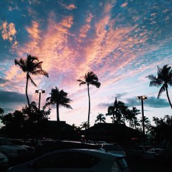 Luxurious Blog