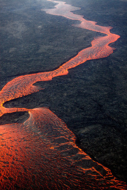 rhubarbes:  Holuhraun eruption by Fredrik Holm. (par fredrikholm.se)