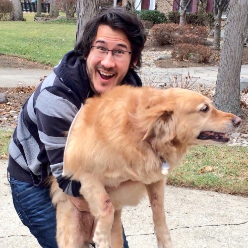 spvro:  Markiplier ft. Dogs: A Masterpost 