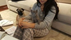 My sister , my cat (ozzy) and pug (minno)
