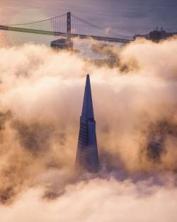 tobyharrimanphotography:  High above the fog.  #sanfrancisco