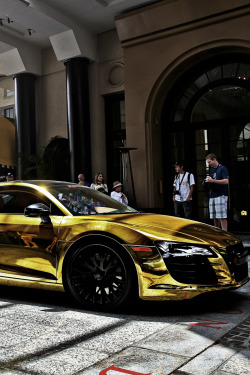 classyxsexxy:  Goldi R8 | cXs