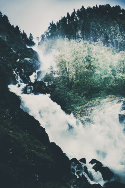 ranoutofnamestopick:  Nature