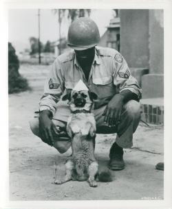 demons:  Sergeant Flanagan, the adopted mascot of the Fifth Air