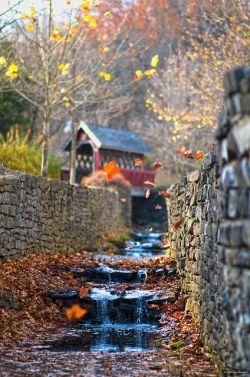 beautymothernature:  Autumn Waterfall, Lo share moments 