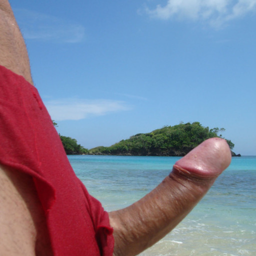 bulgesbeach:    Fuckin