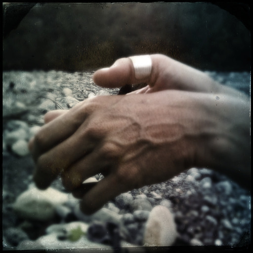 nOmad dans l'heRbe