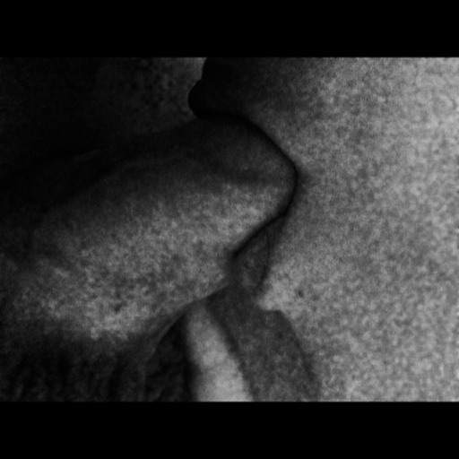 Couples REBLOG