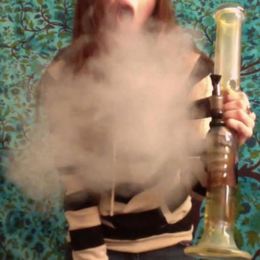 smoke-thc-drop-lsd:  ukrainiangirlfriend:  g0blin-hunting:  If