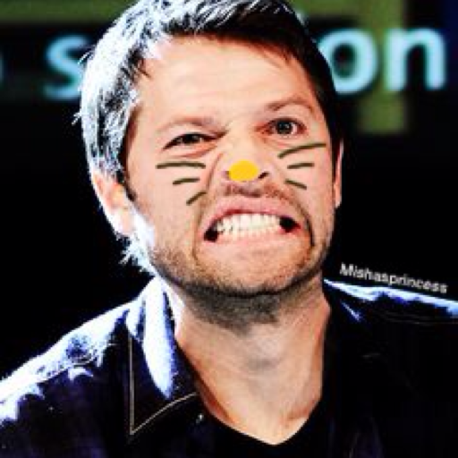 I'm Misha's Princess