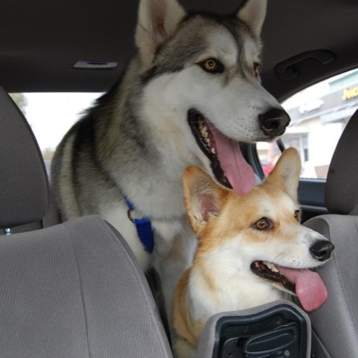 marcel-lecorgi:  I ♥ Being Brushed
