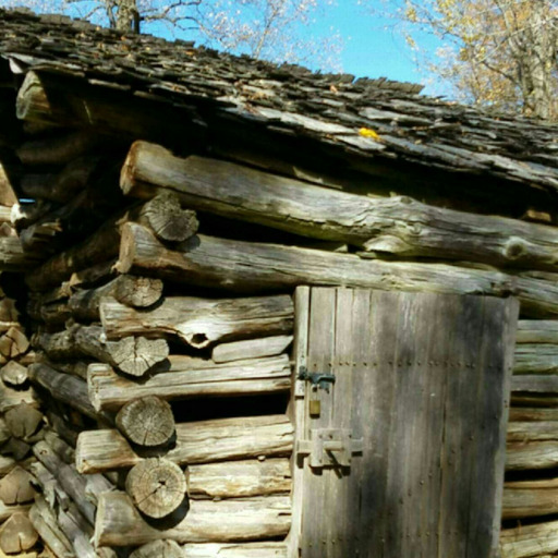 A Pantheon of Oak, a Citadel of Stone