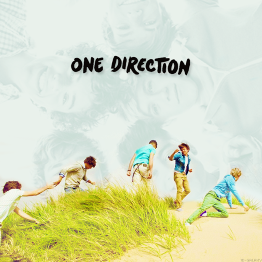 One Direction Official Facts