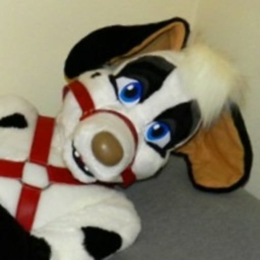 swifthusky:  thesithfuhrer:  fuckyeahmurrsuiting:      Huskies