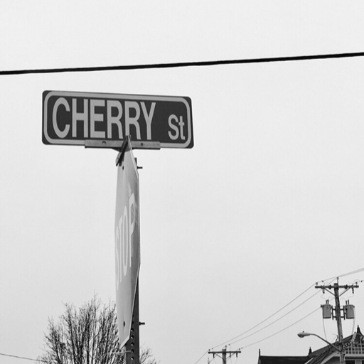 cherrystreet:can you believe there are people out there who speak