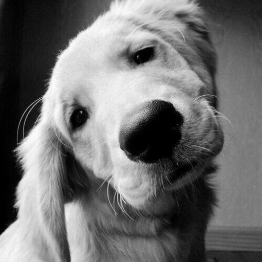 devils-past:  brutalink:  tristamateer:  please tell me which