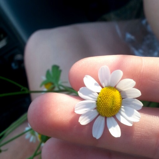 summercunt:  Just posted a GIF (Taken with GifBoom) 