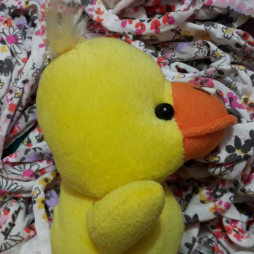 AMARILLO POLLITO MUERTO