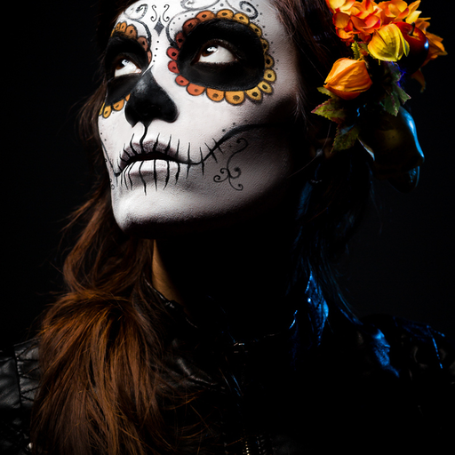 diadelosmuertosmask:  Mayatzin has done the most beautiful job