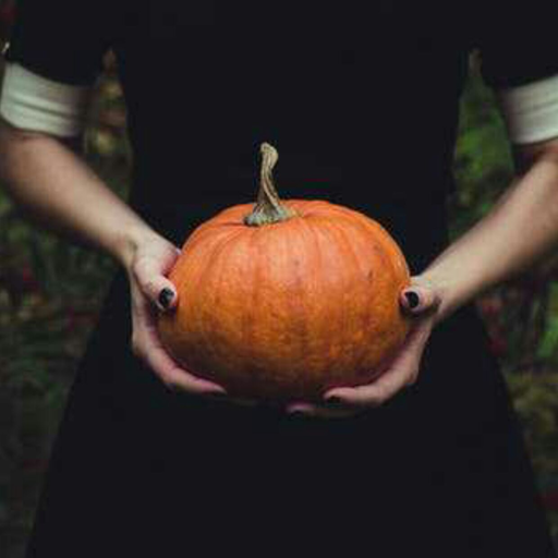 thepumpkin-queenn:
