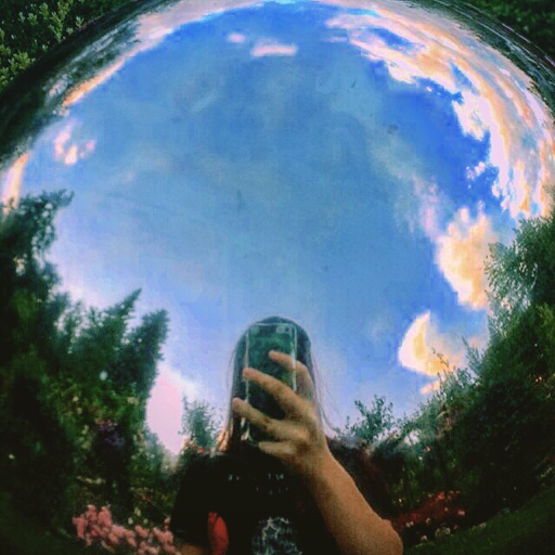 I Go to Seek a Great Perhaps