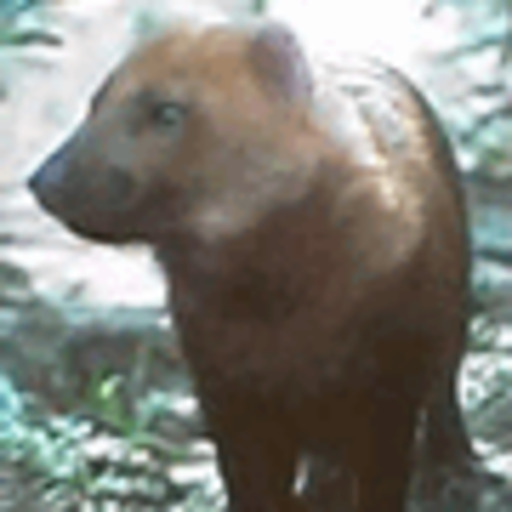 Bushdog's Tumblr