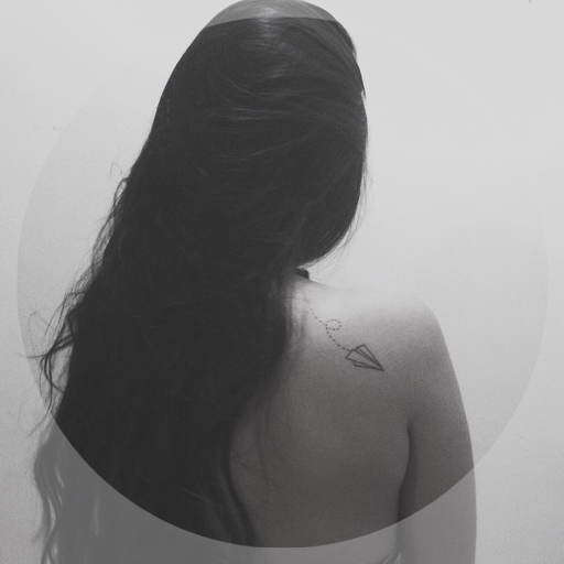DANE-SE