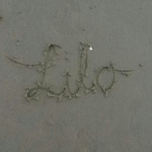 alsoknownaslilo:  <33333333333