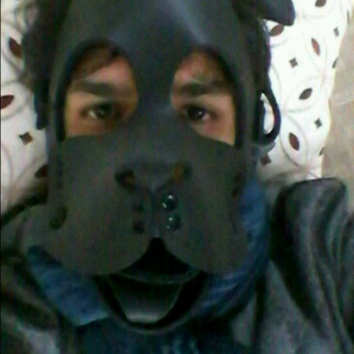 puppyaqua:  pup-tai:  Road puppos! I wuv you @caverpup  🐶❤💙🐶