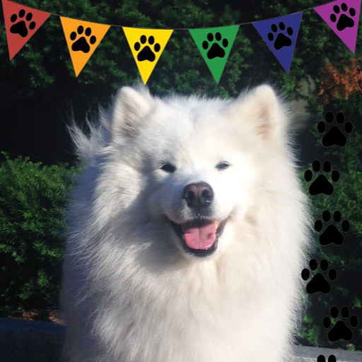 skookumthesamoyed:  harvarddangerfield:  Happy National Puppy