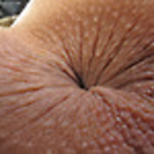 mirtyllo.tumblr.com/post/152333978415/