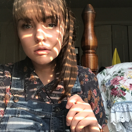 irlpalekitten:                     ✧･ﾟ:*✧･ﾟ:*