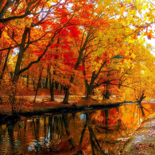 aestheticallyannoyed: