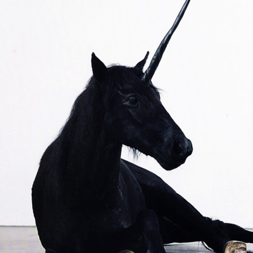 lollygaghustle: