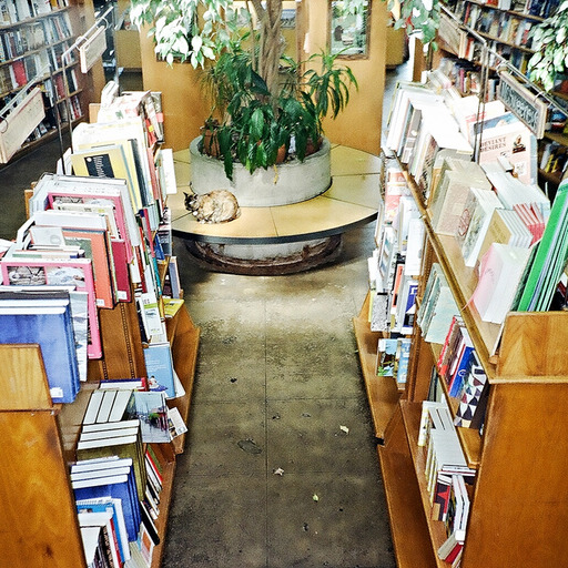 Skylight Books