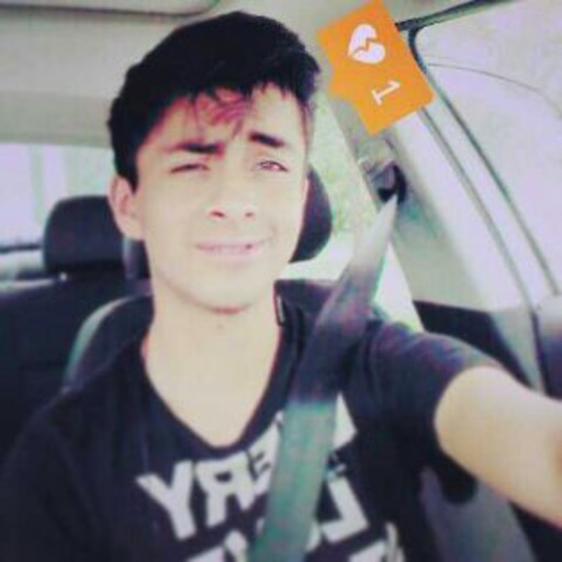 Reves Geant