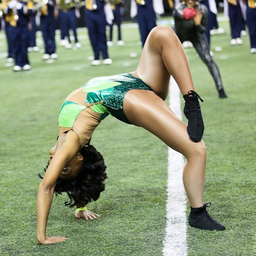 j-setteitoff:  Prairie View A&M University Panther Dolls