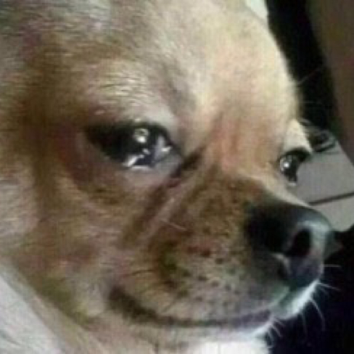 stunningsimplicityy:  Adele: Hello… How are you?   Me: 