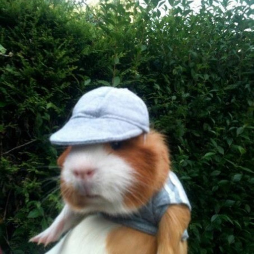 fatalattracti0n:  i remember when i was a youngin’ and watching