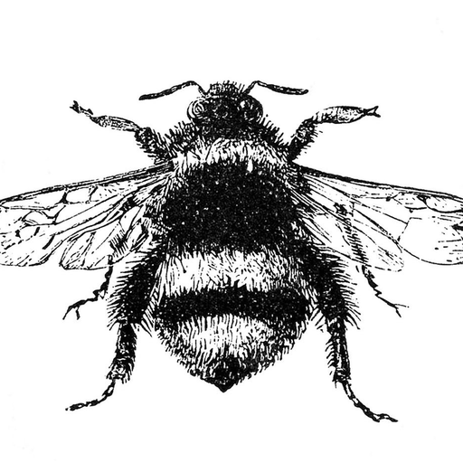 the peony and the bee