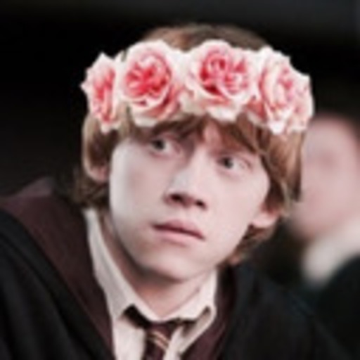 snowflakeronweasley:  things I really liked in fantastic beasts:the
