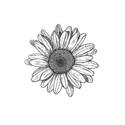 a beautiful disaster