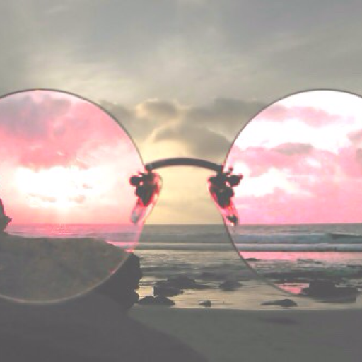 omgrosecolouredglasses: 