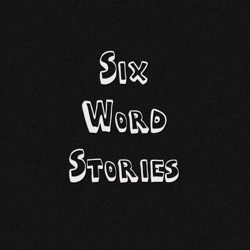 six word stories