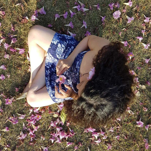 Complicated Dreams