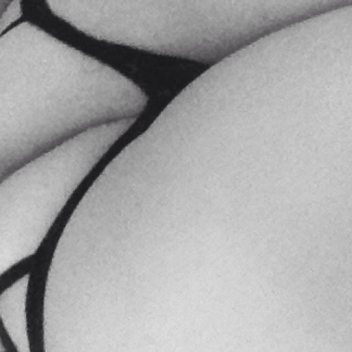 poisonedxo:  Just to show y'all what I’m about 😘 