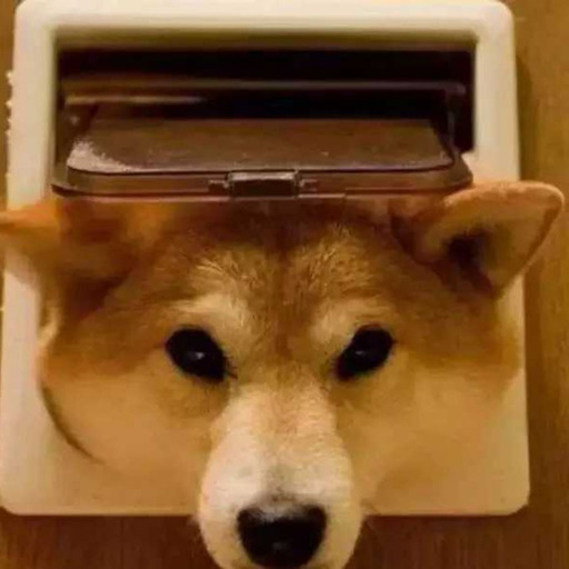 rexhoho:  