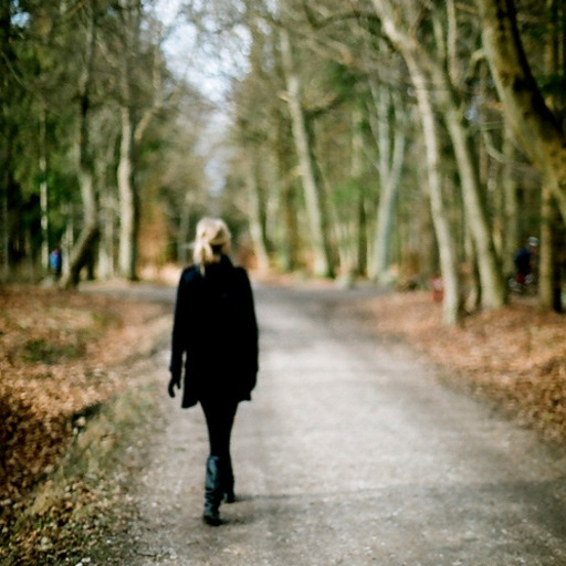 The Wanderer Girl