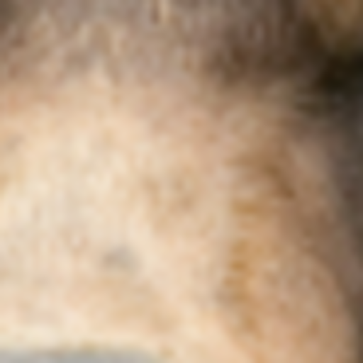 Reblog if I can go on your page and write stupid things in your