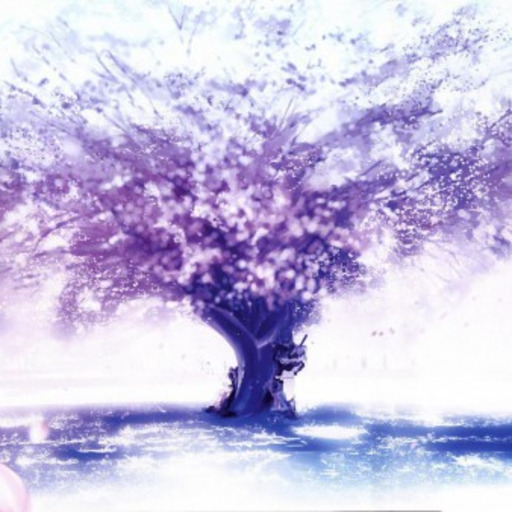 Transient Sagacity